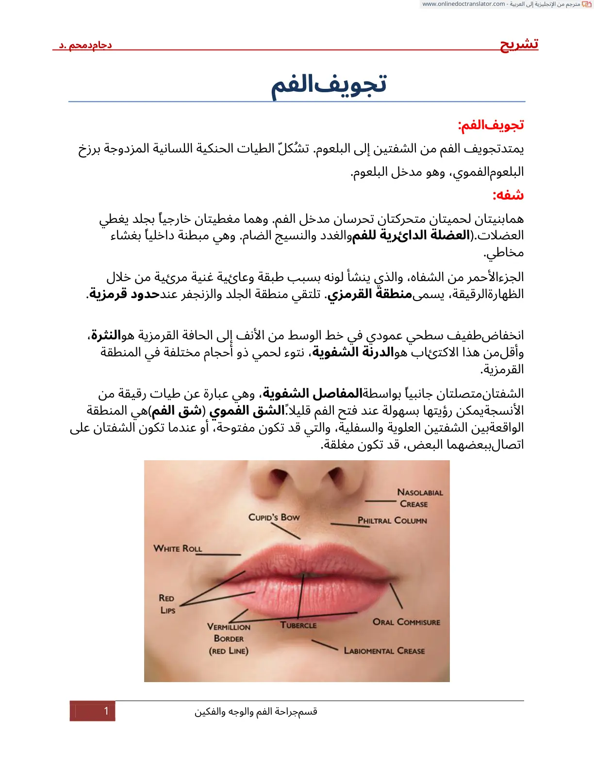غلاف تقرير تجويف الفم