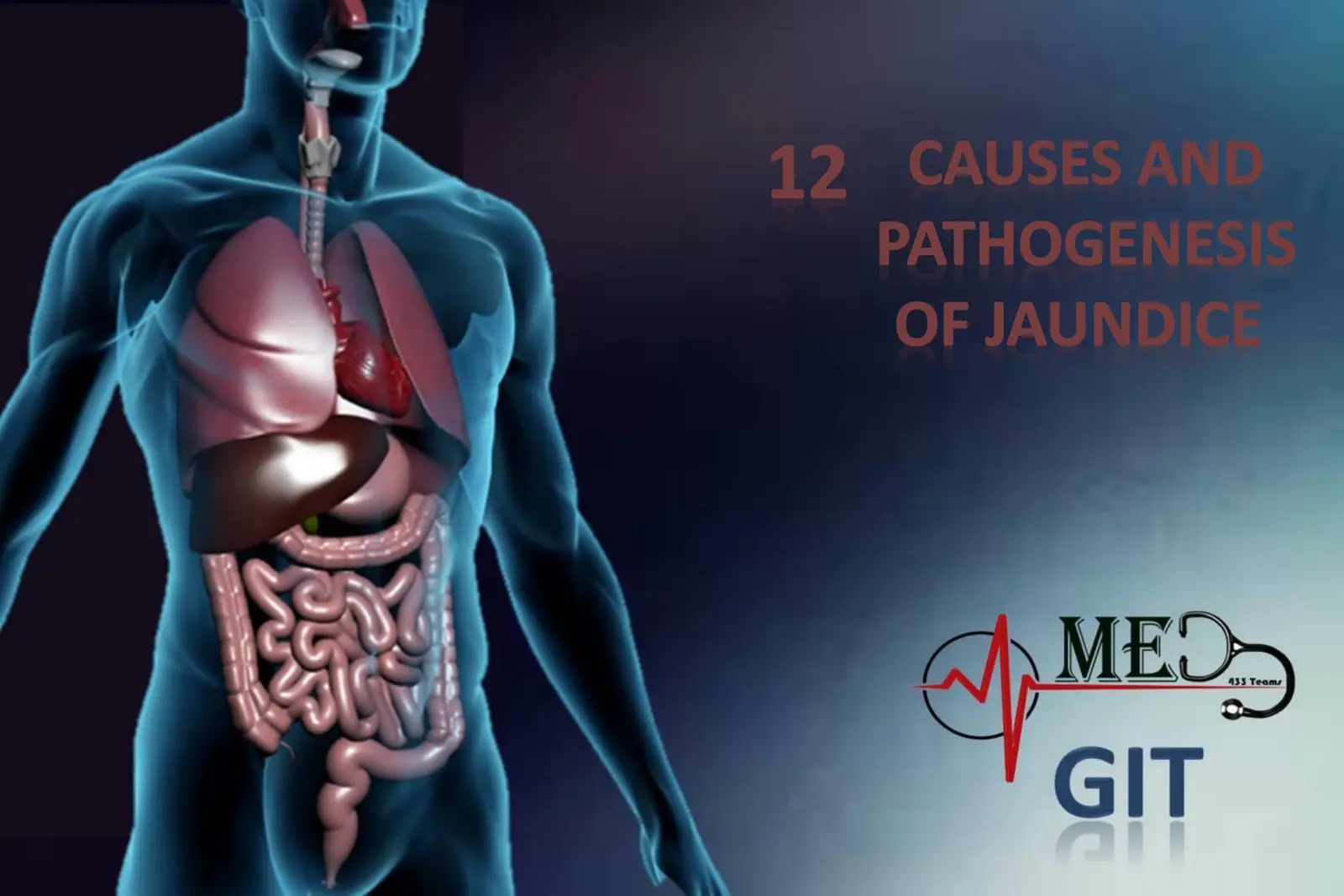 غلاف تقرير CAUSES AND PATHOGENESIS OF JAUNDICE