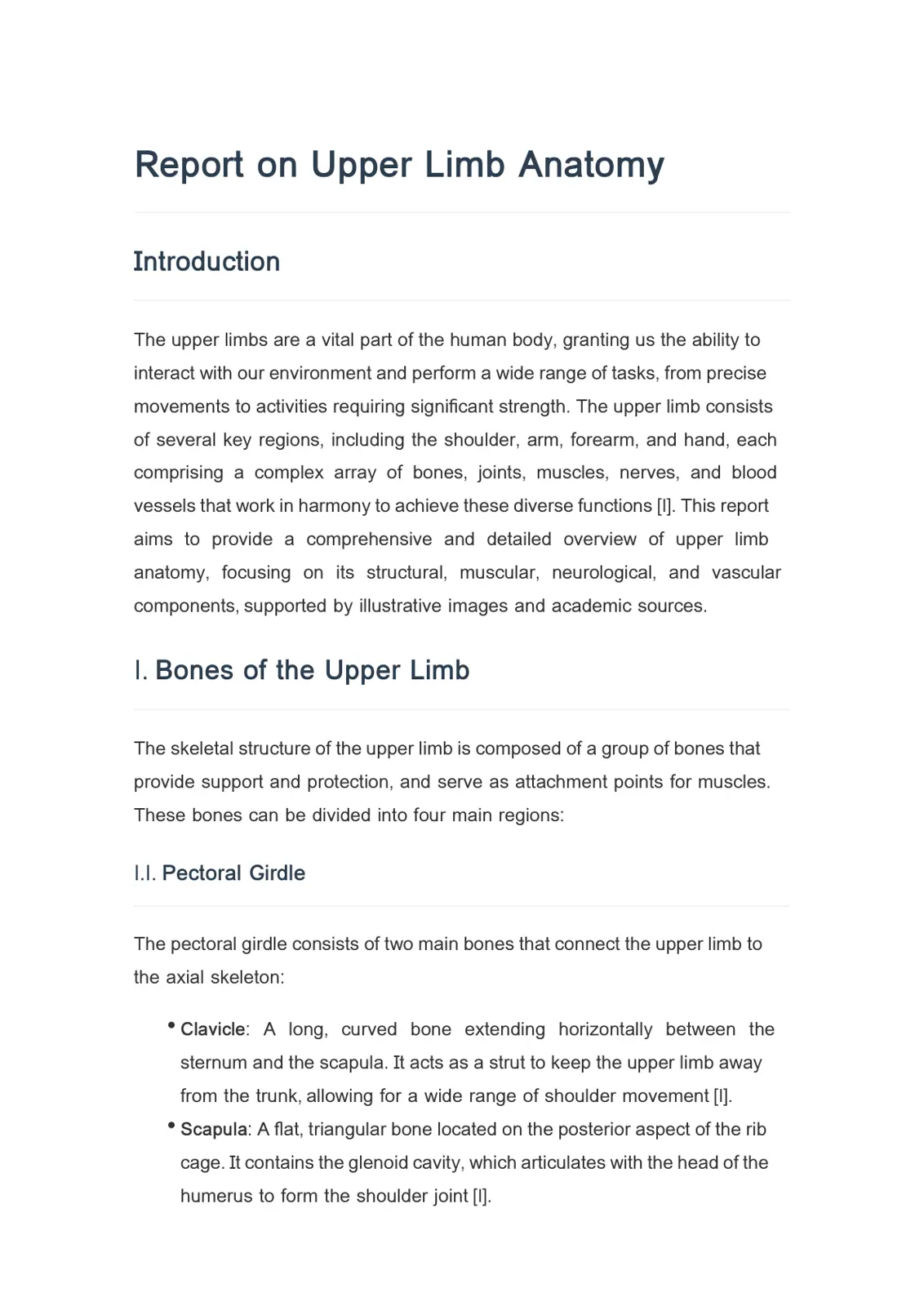 غلاف تقرير Report on Upper Limb Anatomy