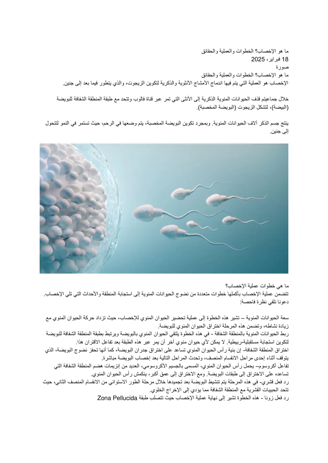 غلاف تقرير ما هو الإخصاب؟ الخطوات والعملية والحقائق