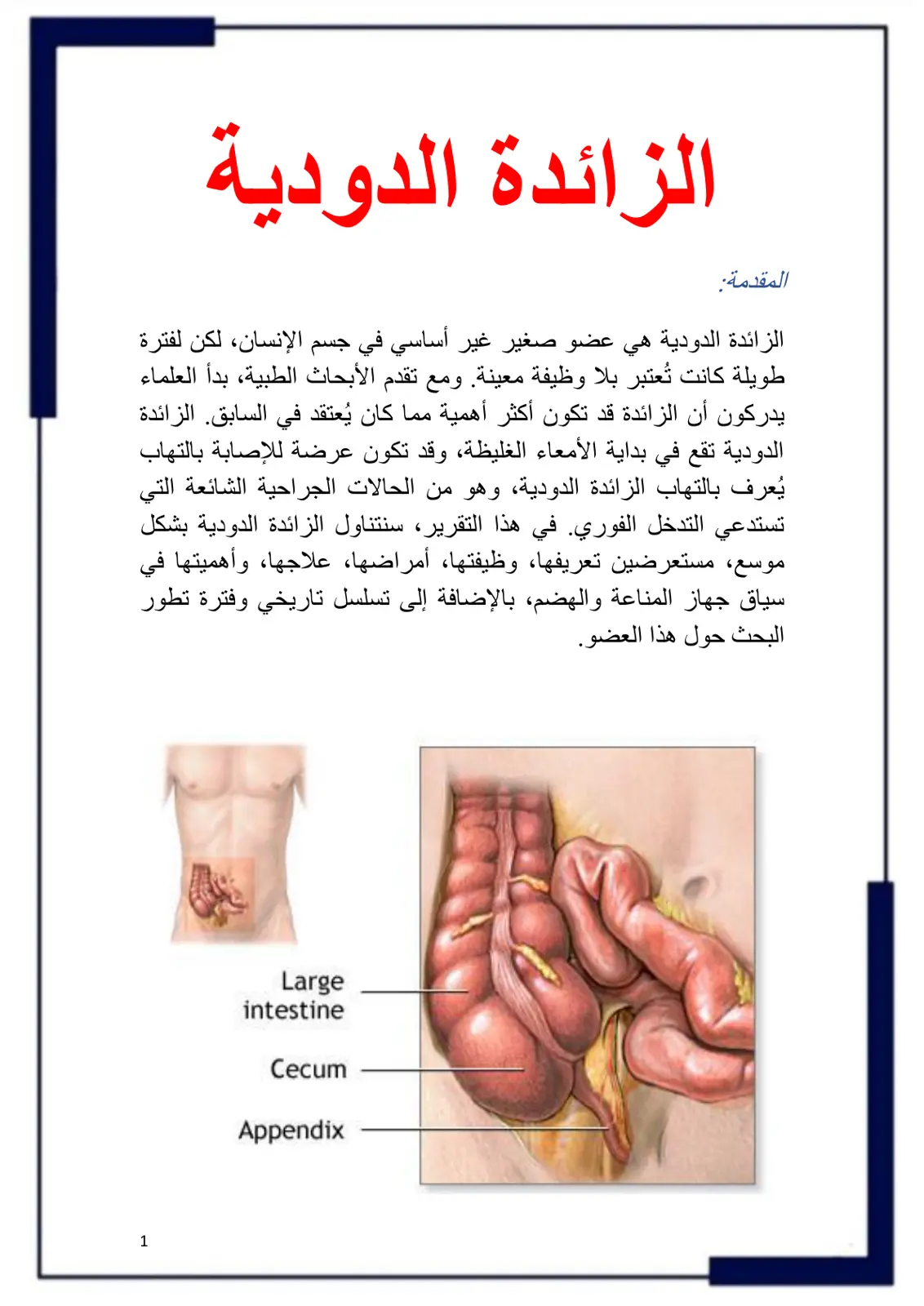 غلاف تقرير الزائدة الدودية