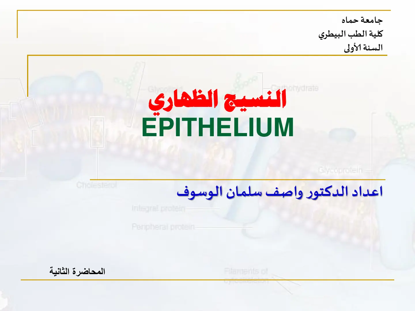 غلاف تقرير النسيج الظهاري - المحاضرة الثانية