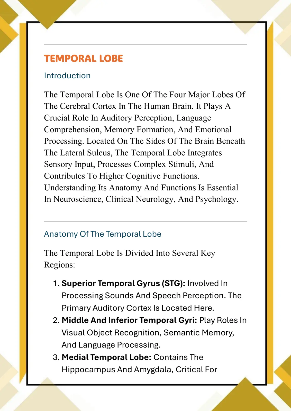 غلاف تقرير TEMPORAL LOBE