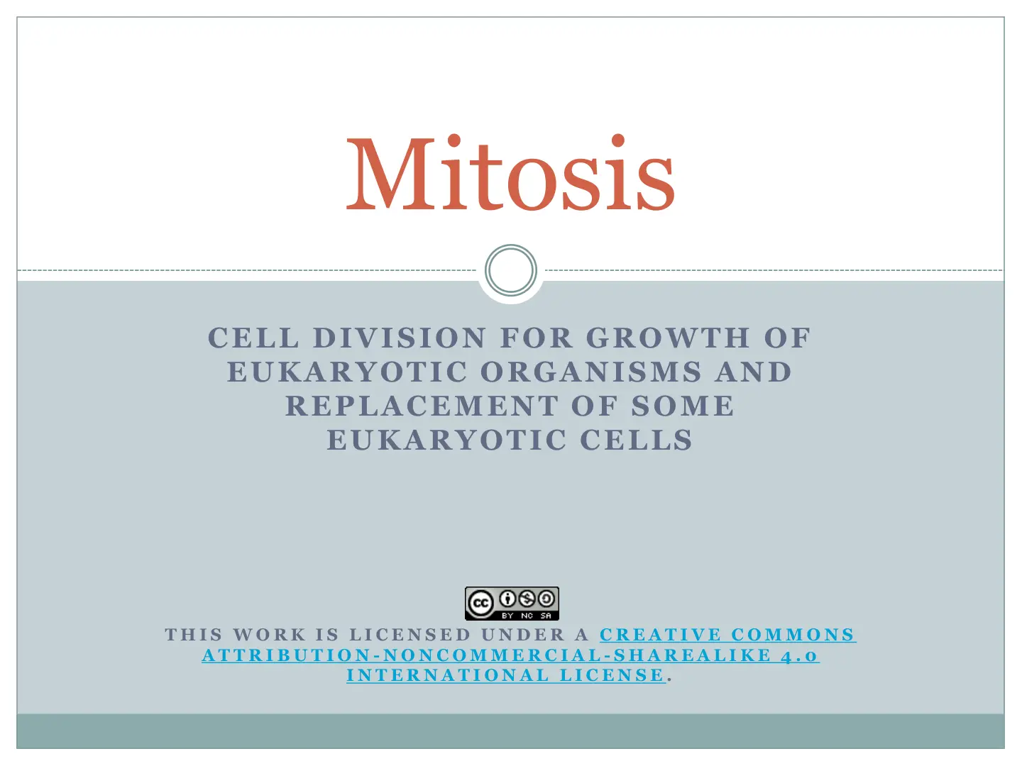 غلاف تقرير Mitosis