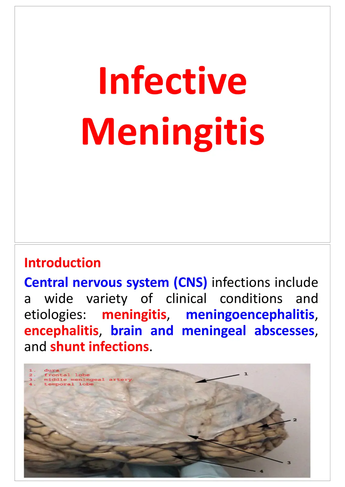 غلاف تقرير Infective Meningitis