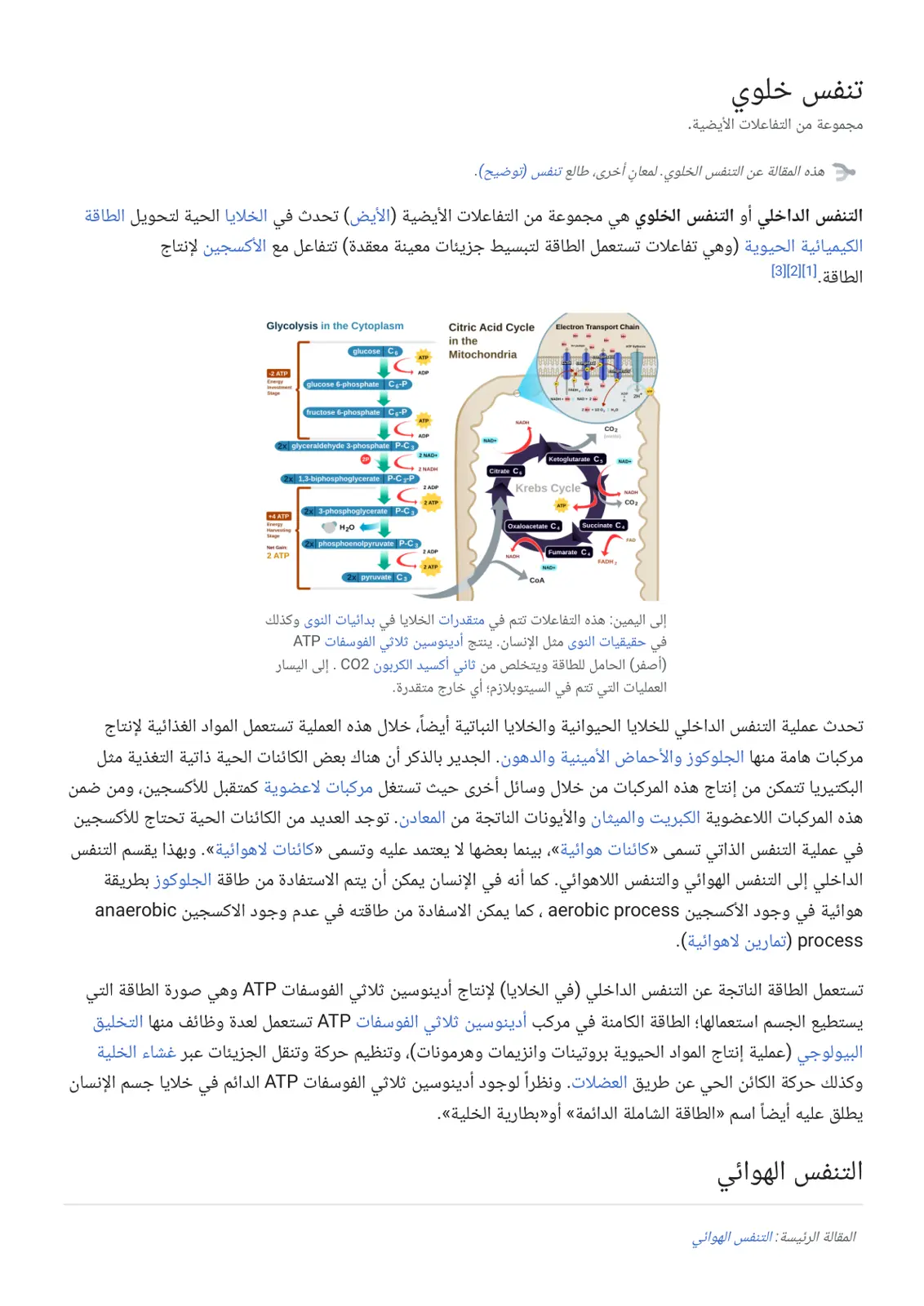 غلاف تقرير تنفس خلوي