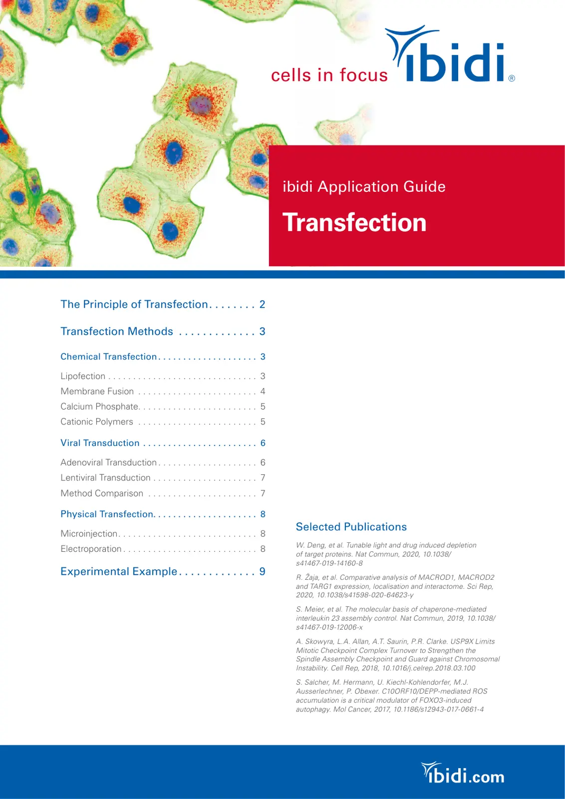 غلاف تقرير Transfection