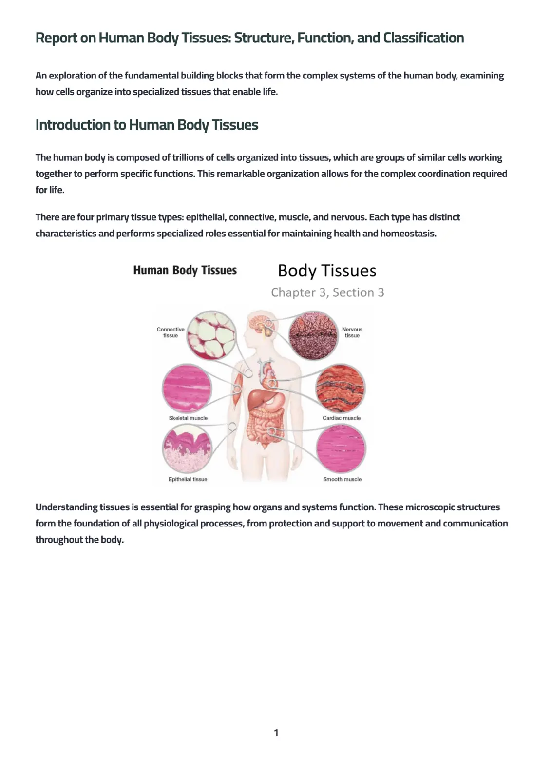 غلاف تقرير Report on Human Body Tissues: Structure, Function, and Classification