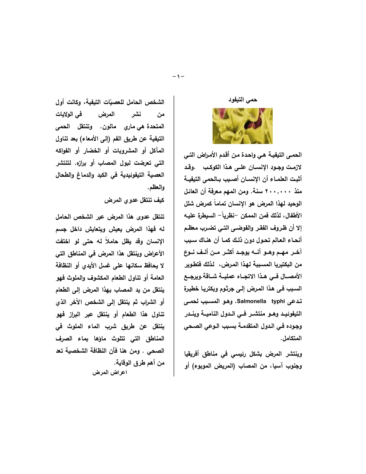 غلاف تقرير حمى التيفود