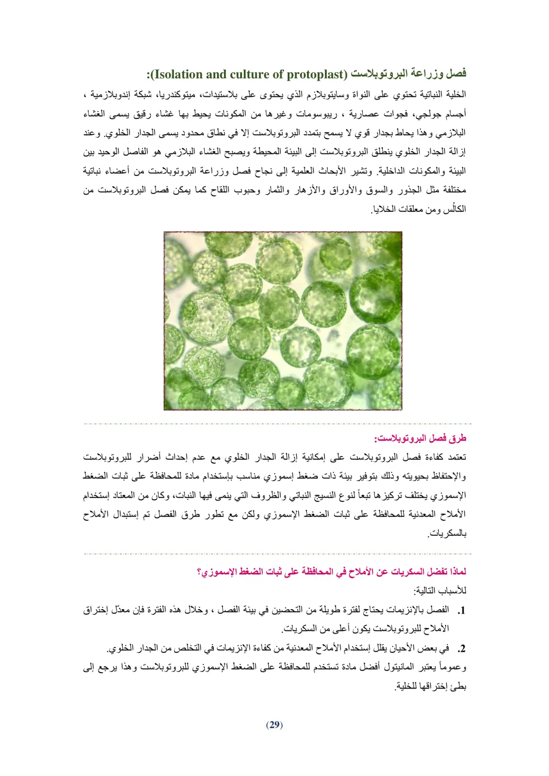 غلاف تقرير فصل وزراعة البروتوبلاست Isolation and culture of protoplast