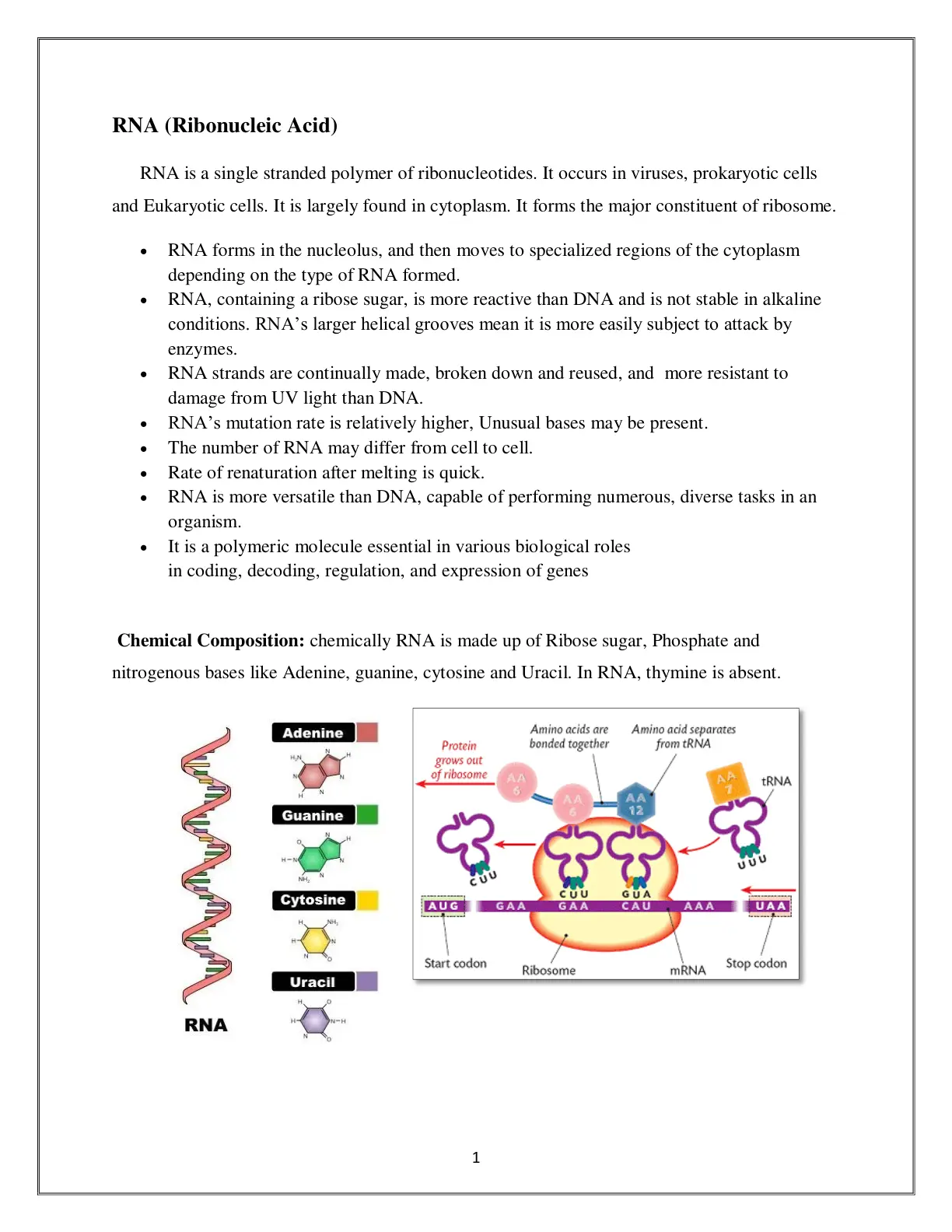 غلاف تقرير RNA (Ribonucleic Acid)