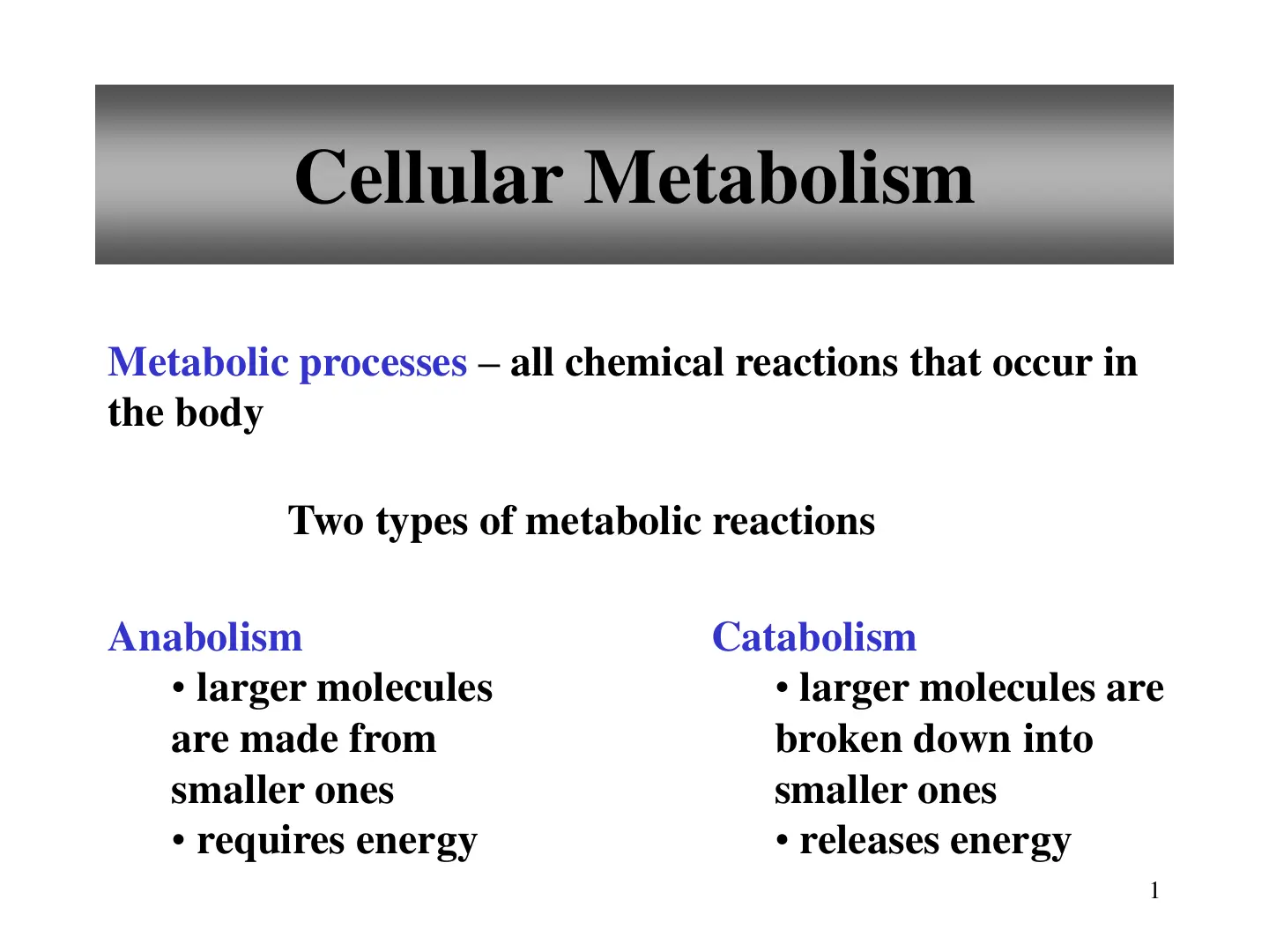 غلاف تقرير Cellular Metabolism