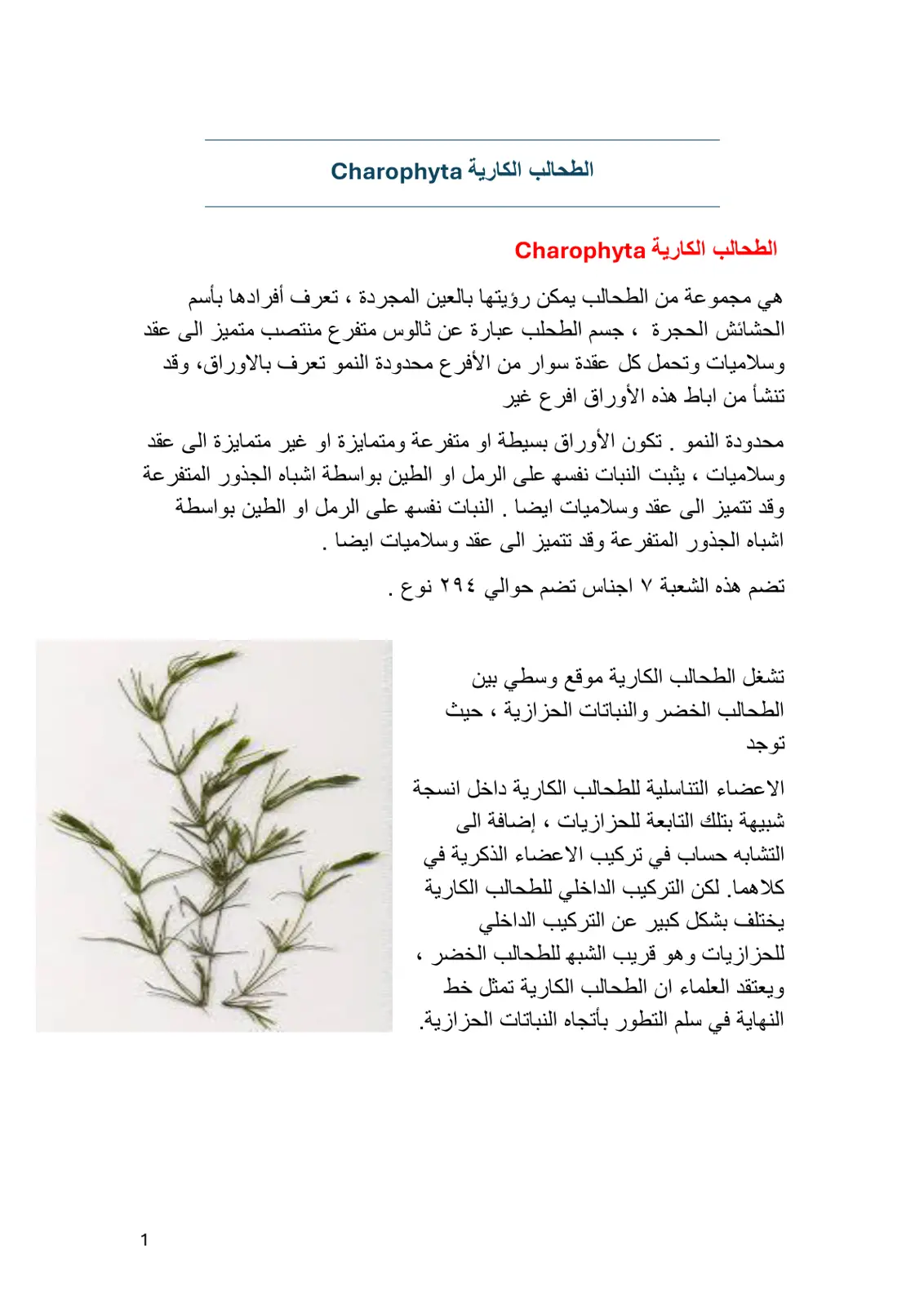 غلاف تقرير الطحالب الكارية Charophyta