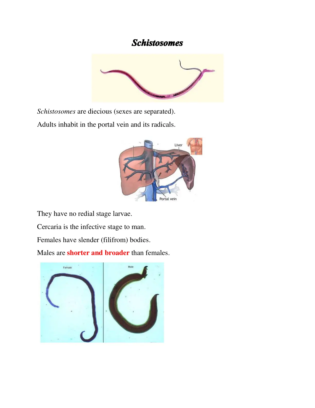 غلاف تقرير Schistosomes