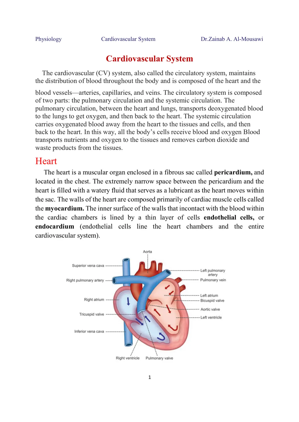 غلاف تقرير Physiology: Cardiovascular System