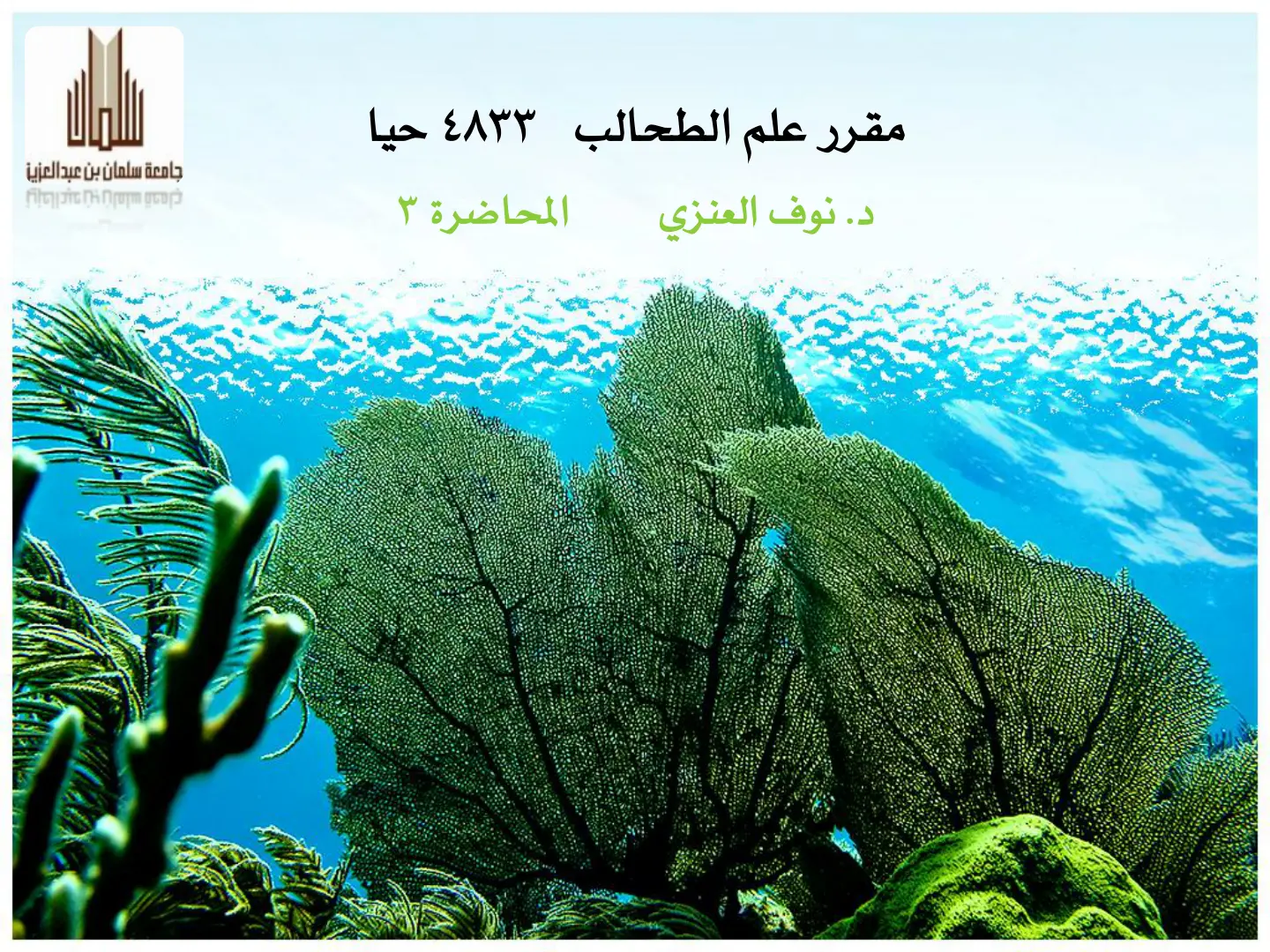 غلاف تقرير مقرر علم الطحالب 4833 حيا - المحاضرة 3