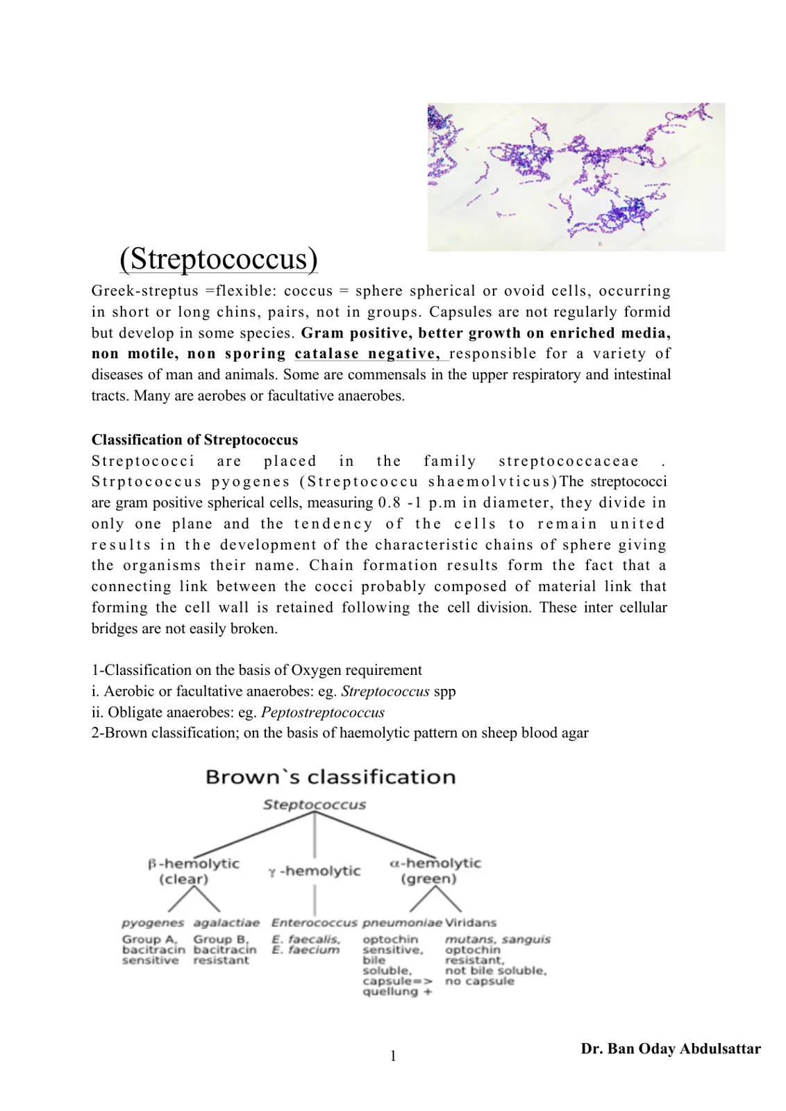 غلاف تقرير Streptococcus