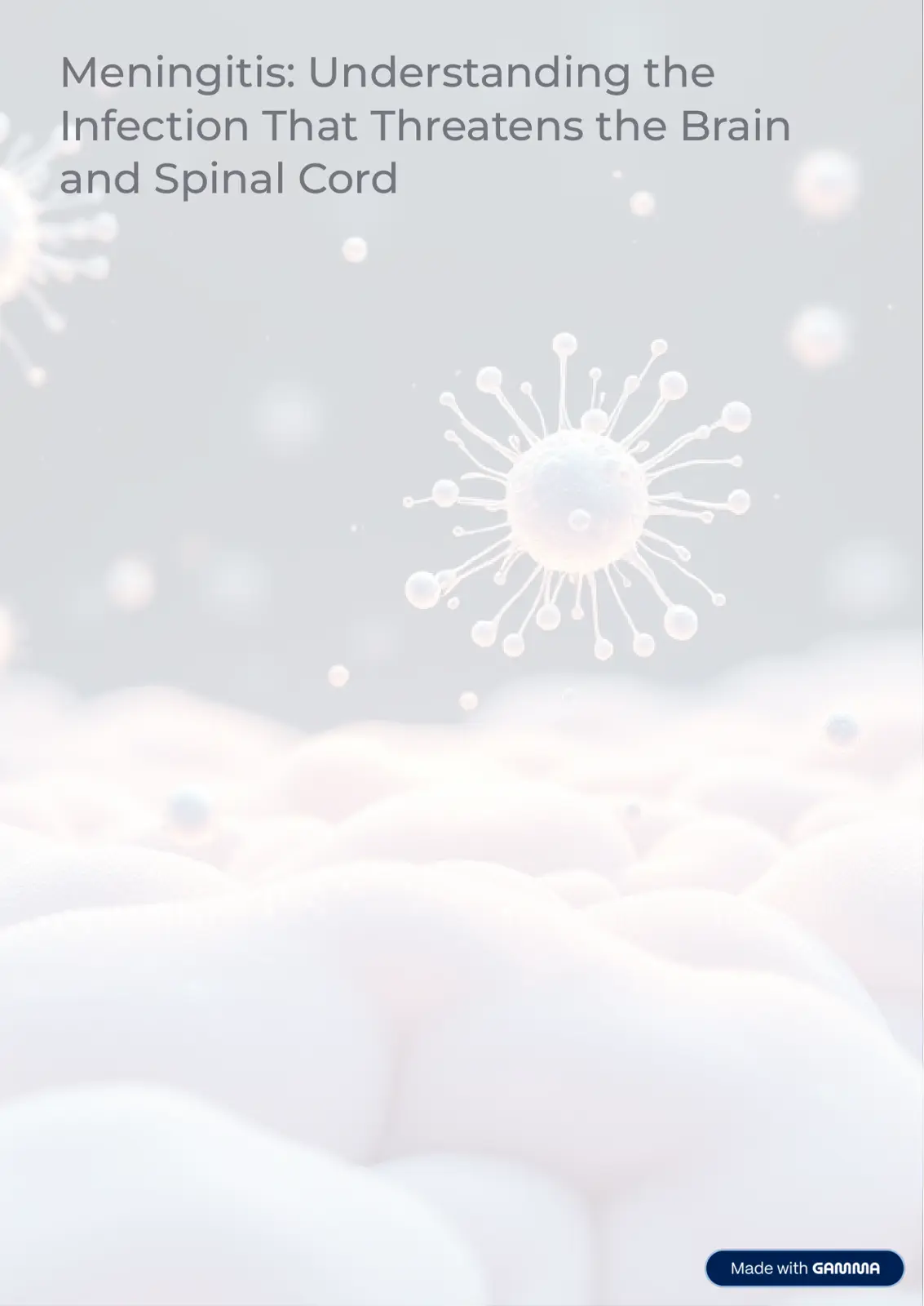 غلاف تقرير Meningitis: Understanding the Infection That Threatens the Brain and Spinal Cord