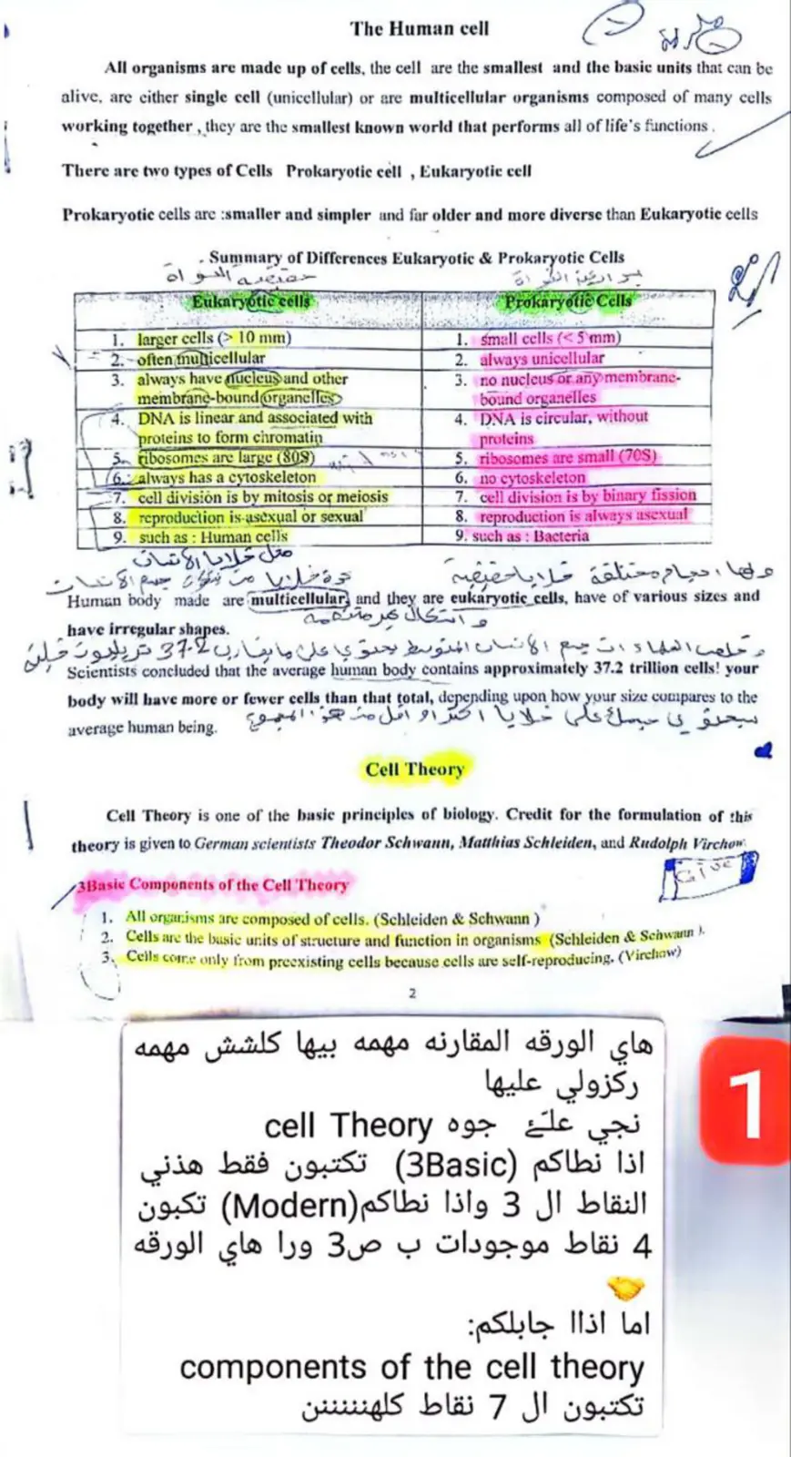 غلاف تقرير The Human cell