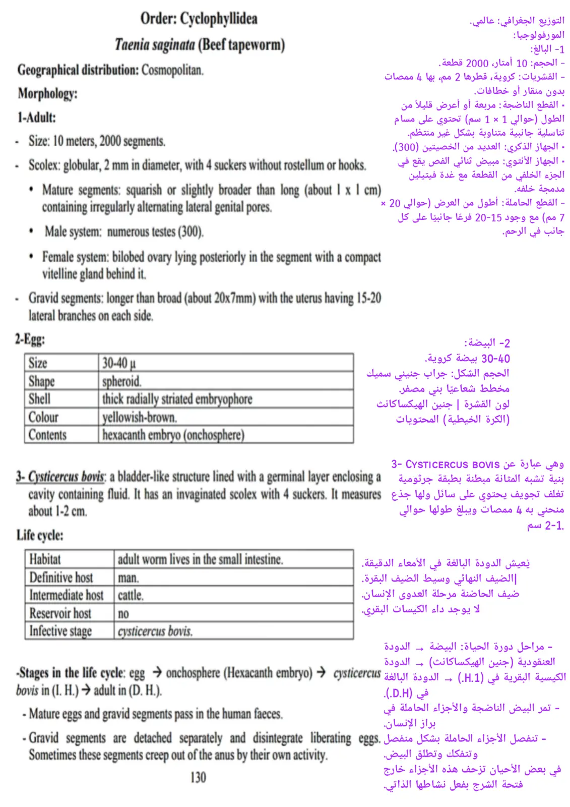 غلاف تقرير Taenia saginata (Beef tapeworm)