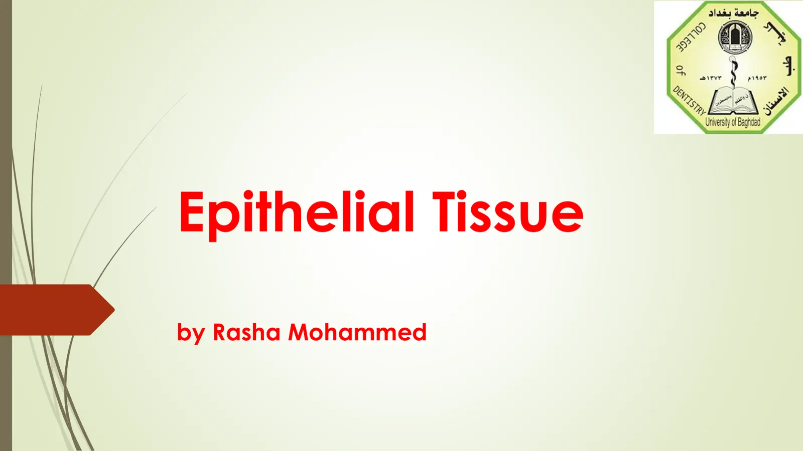 غلاف تقرير Epithelial Tissue