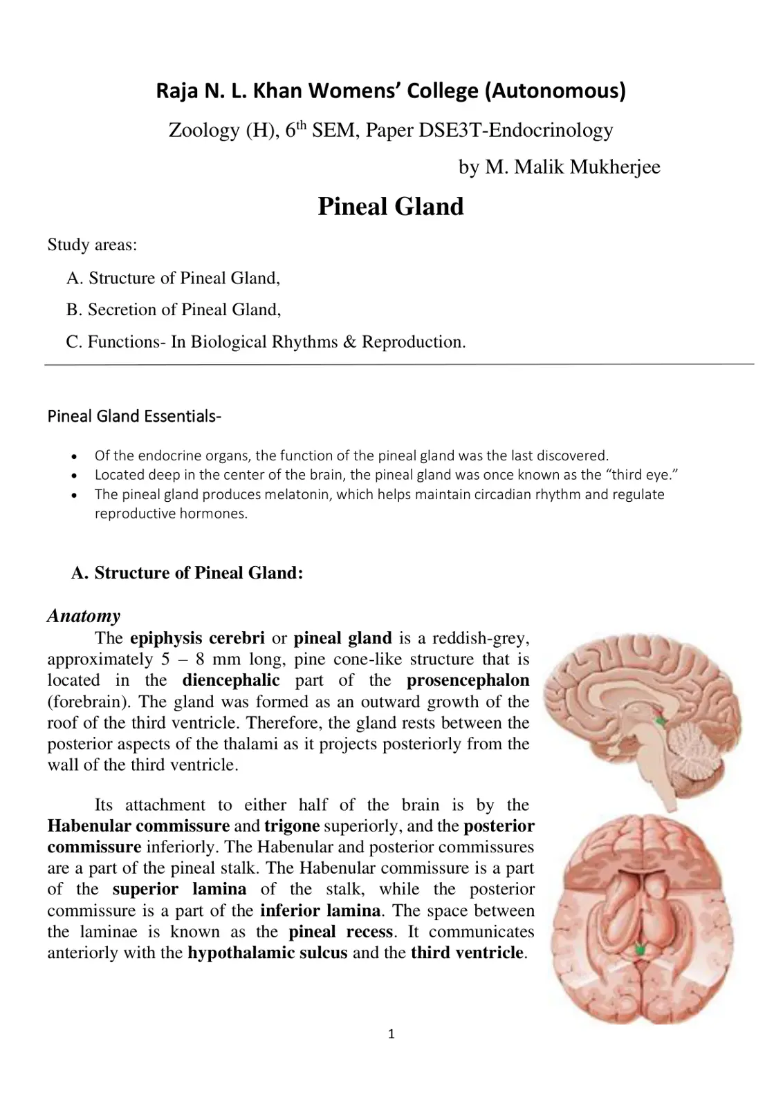 غلاف تقرير Pineal Gland