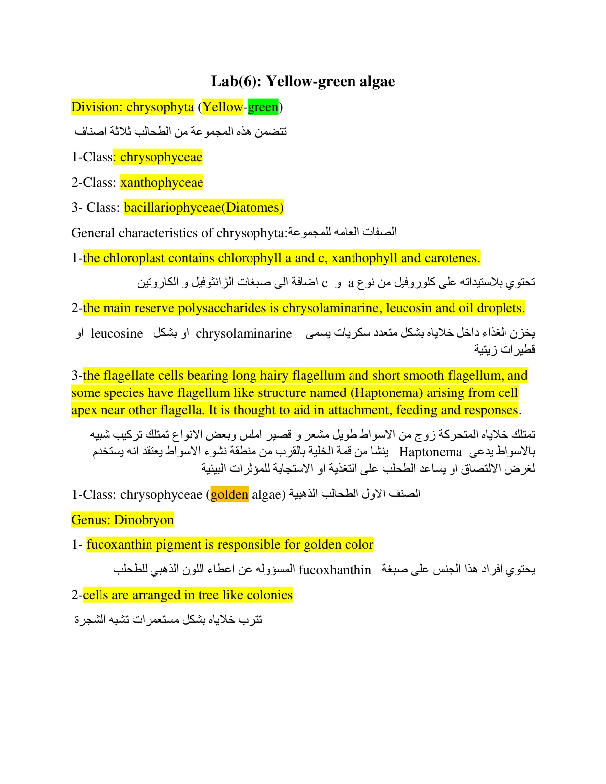 غلاف تقرير Lab (6): Yellow-green algae – Division: Chrysophyta