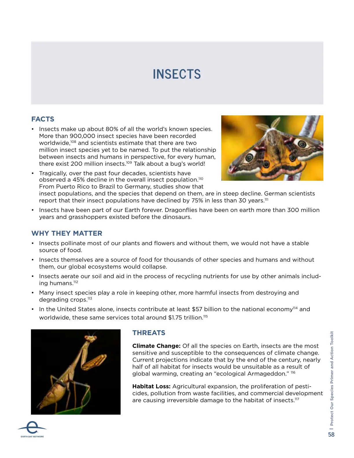 غلاف تقرير Insects Facts