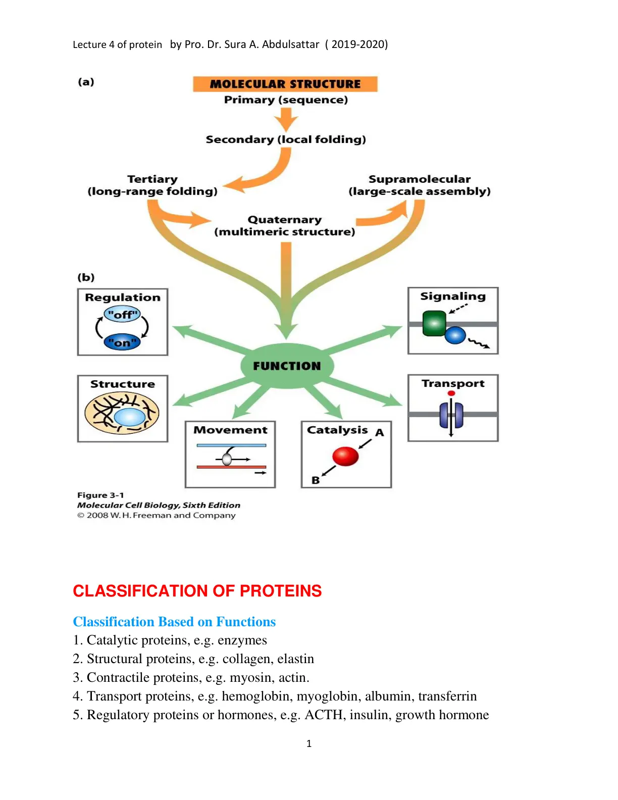 غلاف تقرير Lecture 4 of protein: Molecular Structure and Classification