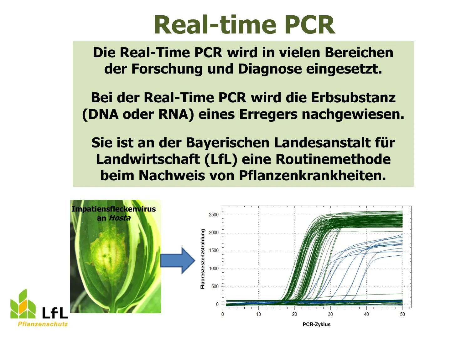 غلاف تقرير Real-time PCR