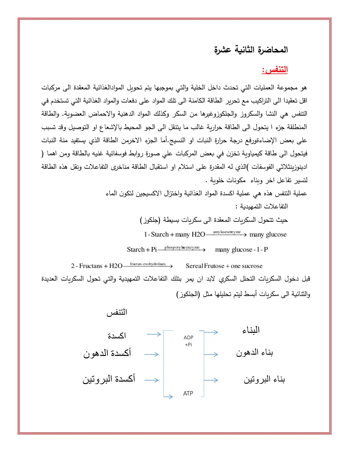غلاف تقرير المحاضرة الثانية عشرة: التنفس