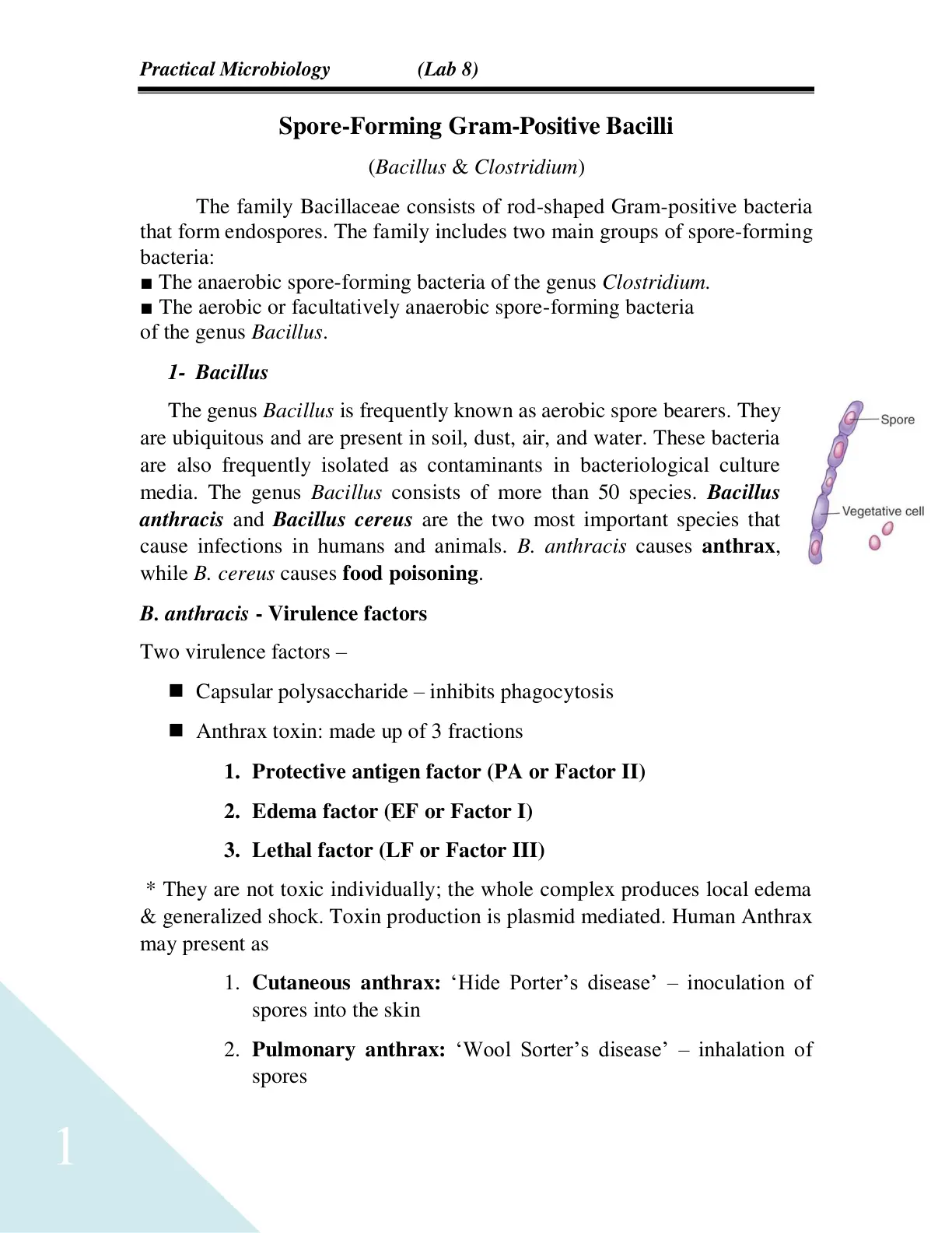 غلاف تقرير Practical Microbiology (Lab 8) Spore-Forming Gram-Positive Bacilli