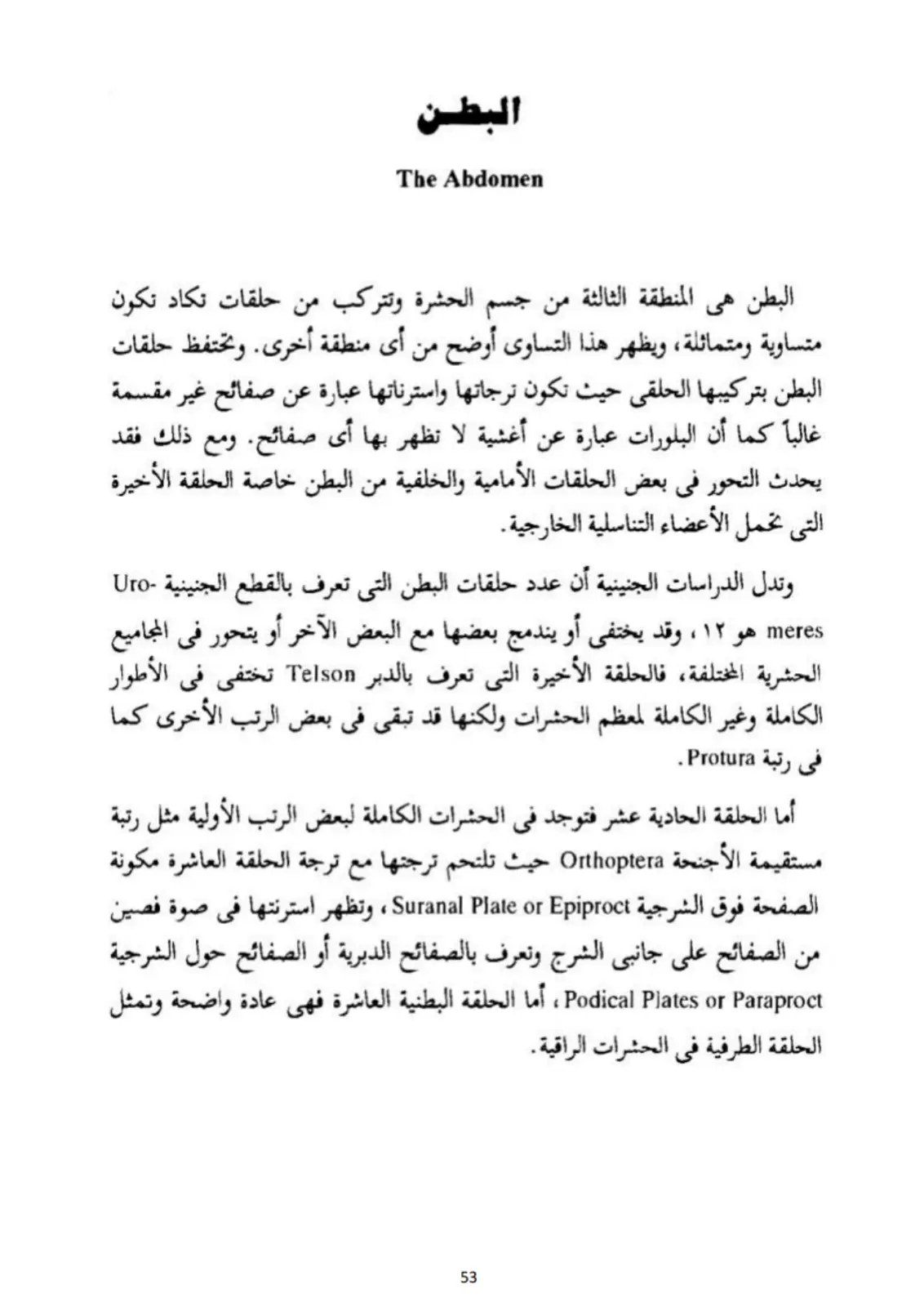 غلاف تقرير البطن The Abdomen
