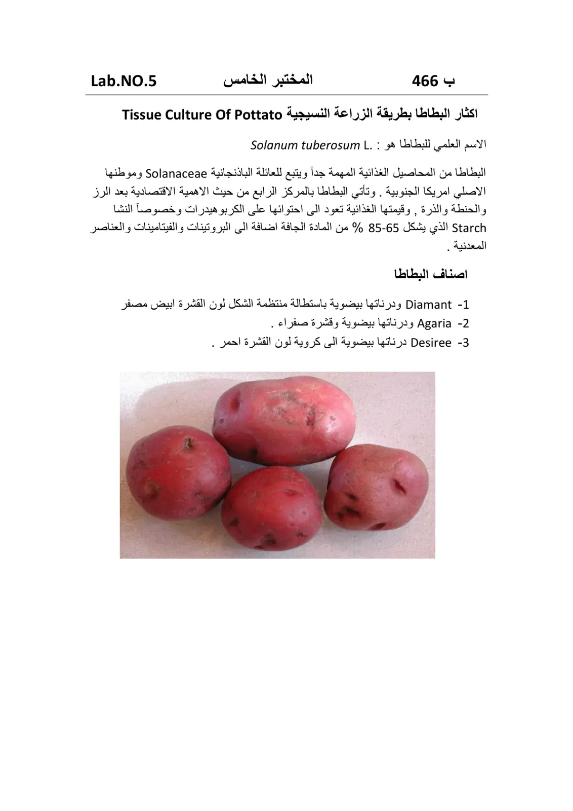 غلاف تقرير اكثار البطاطا بطريقة الزراعة النسيجية Tissue Culture Of Potato