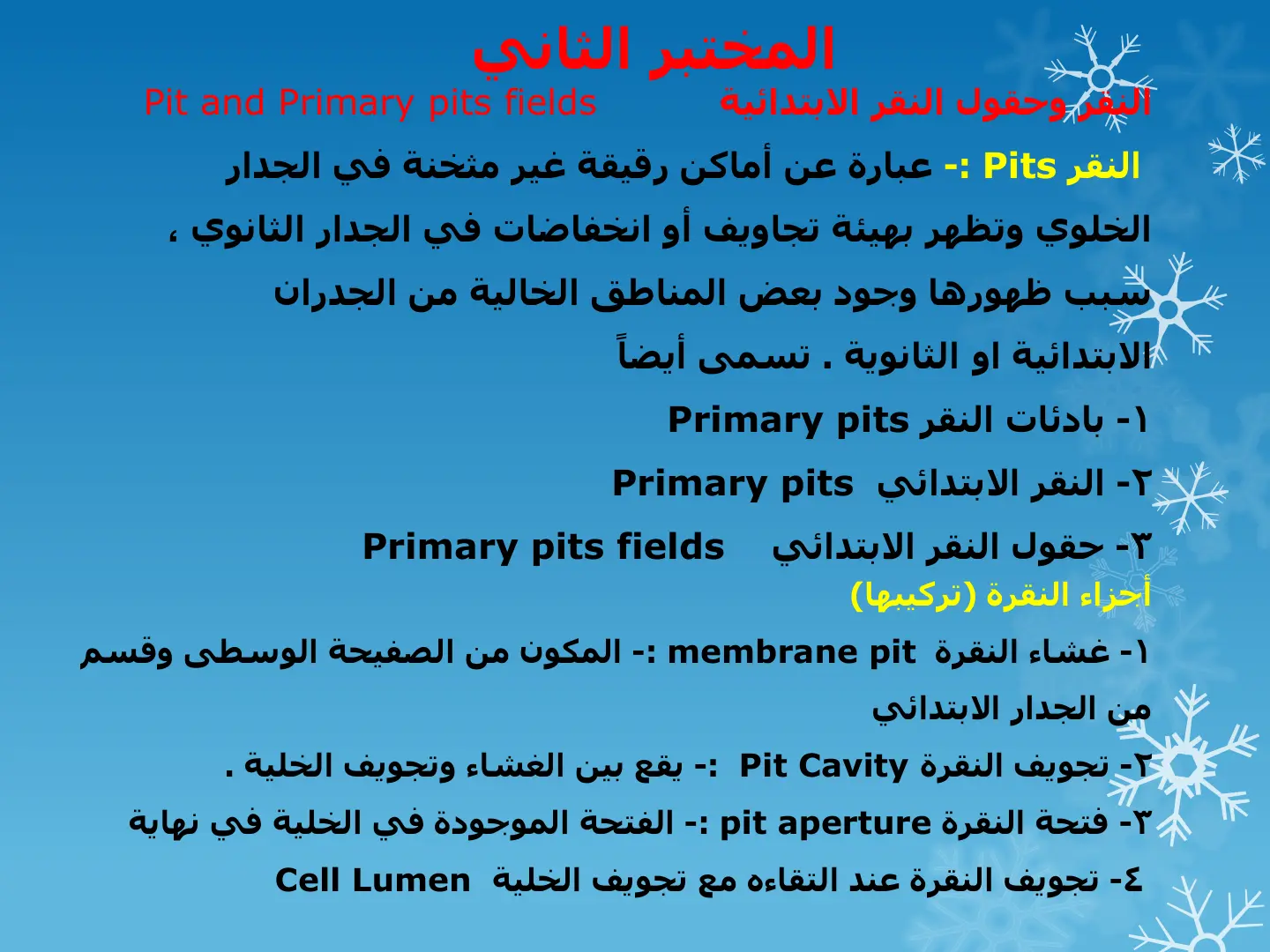 غلاف تقرير المختبر الثاني: النقر وحقول النقر الابتدائية – Pit and Primary Pits Fields