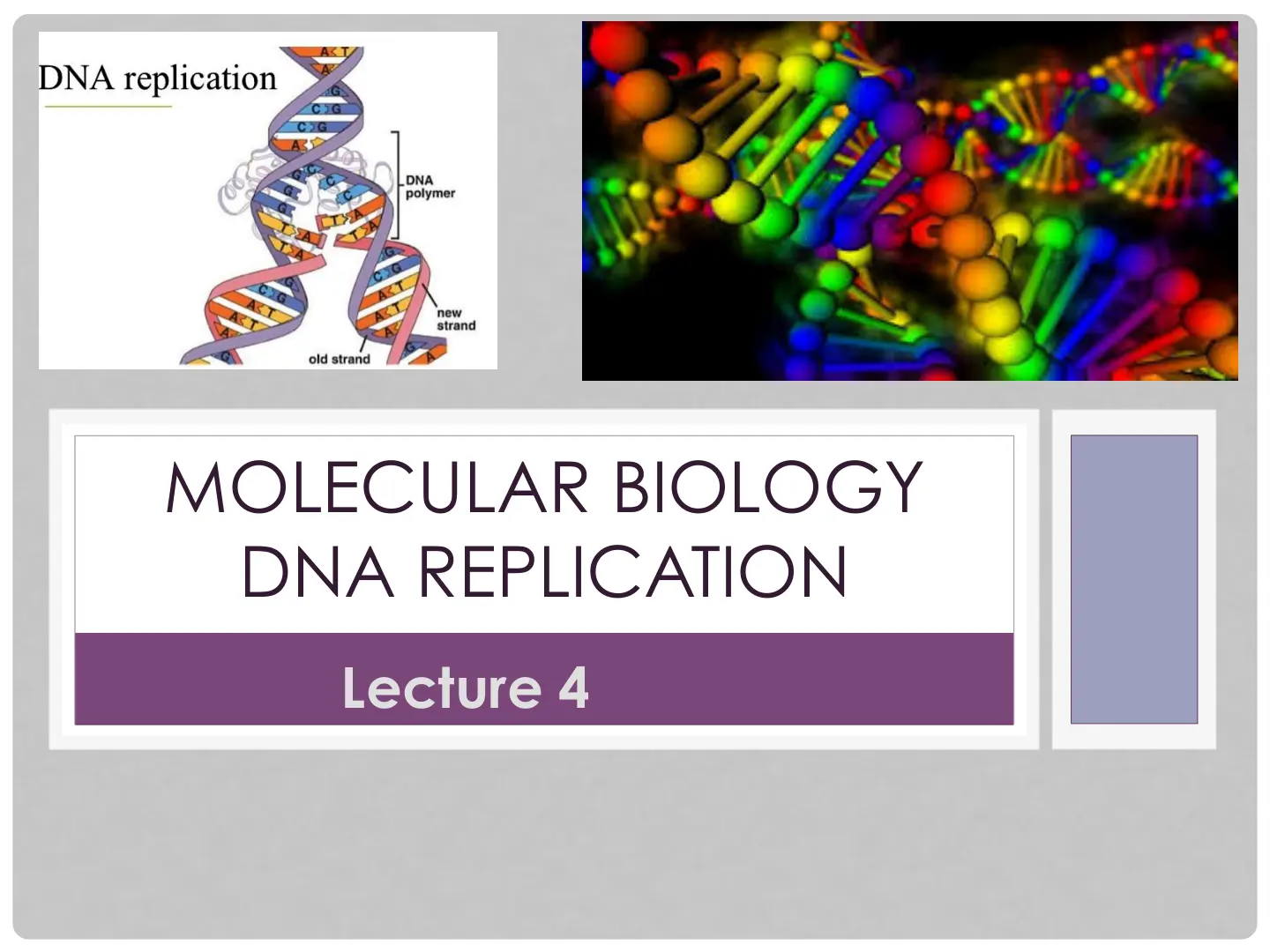 غلاف تقرير DNA REPLICATION