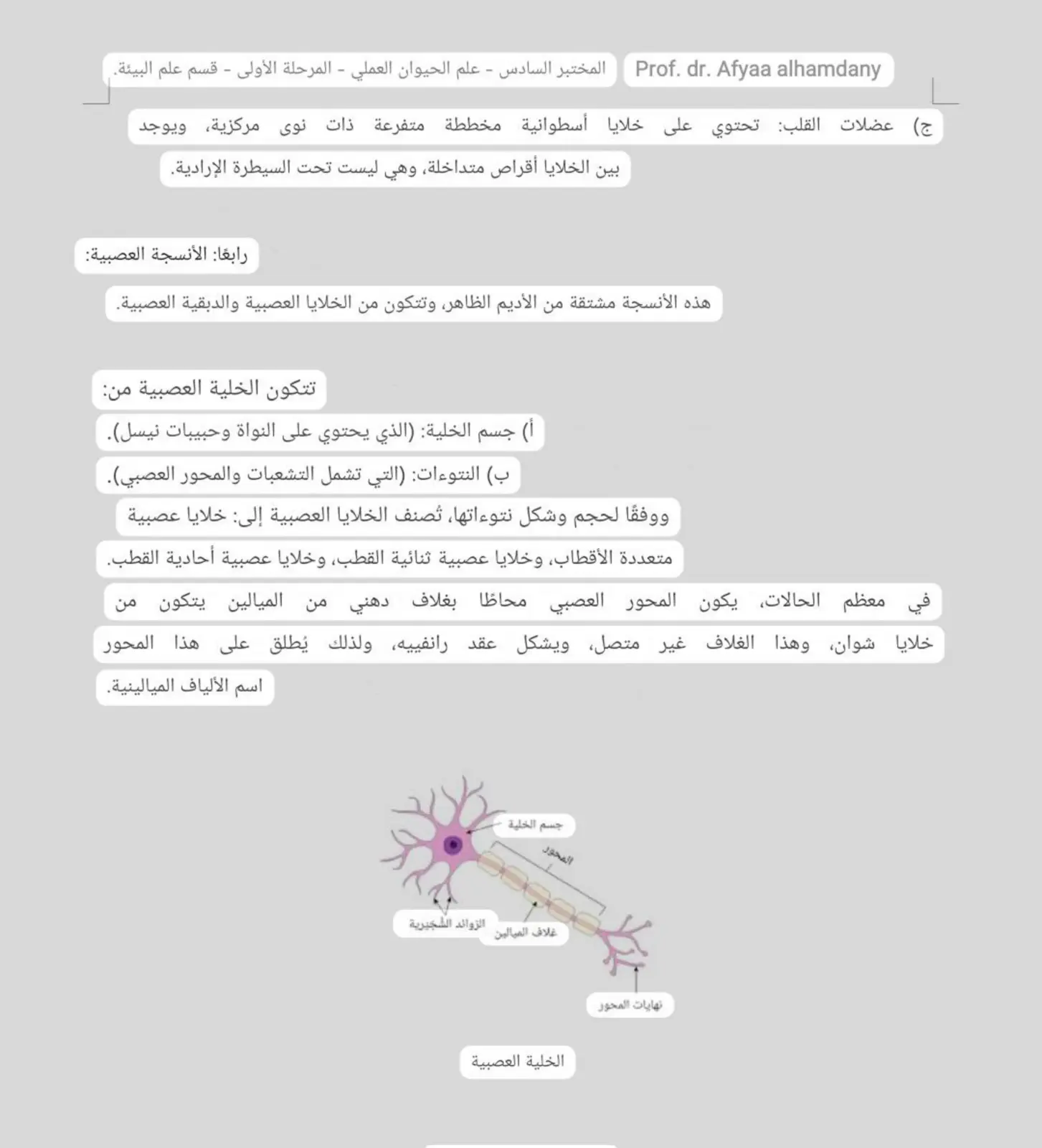 غلاف تقرير علم الحيوان العملي: عضلات القلب والأنسجة العصبية