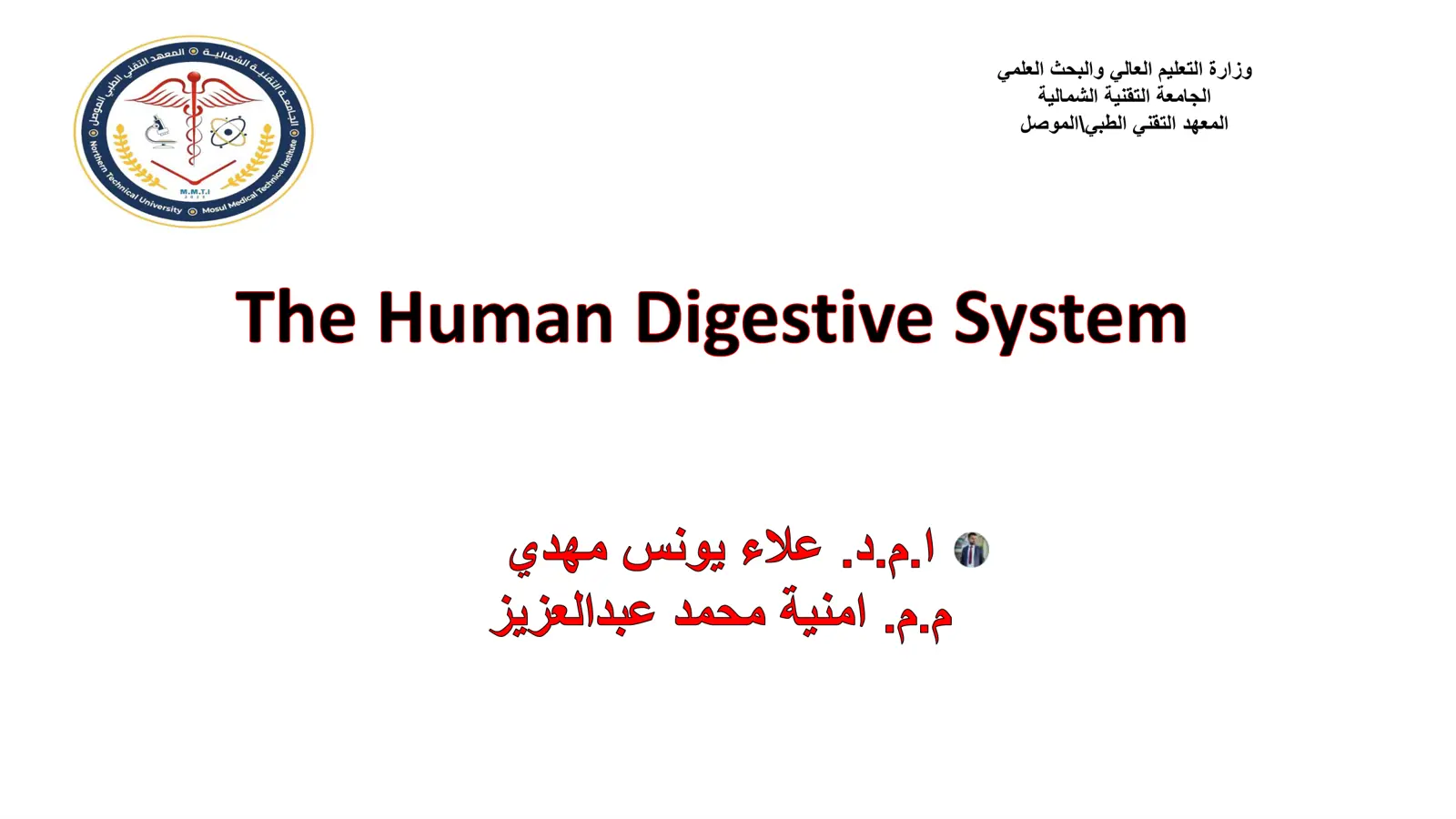 غلاف تقرير The Human Digestive System