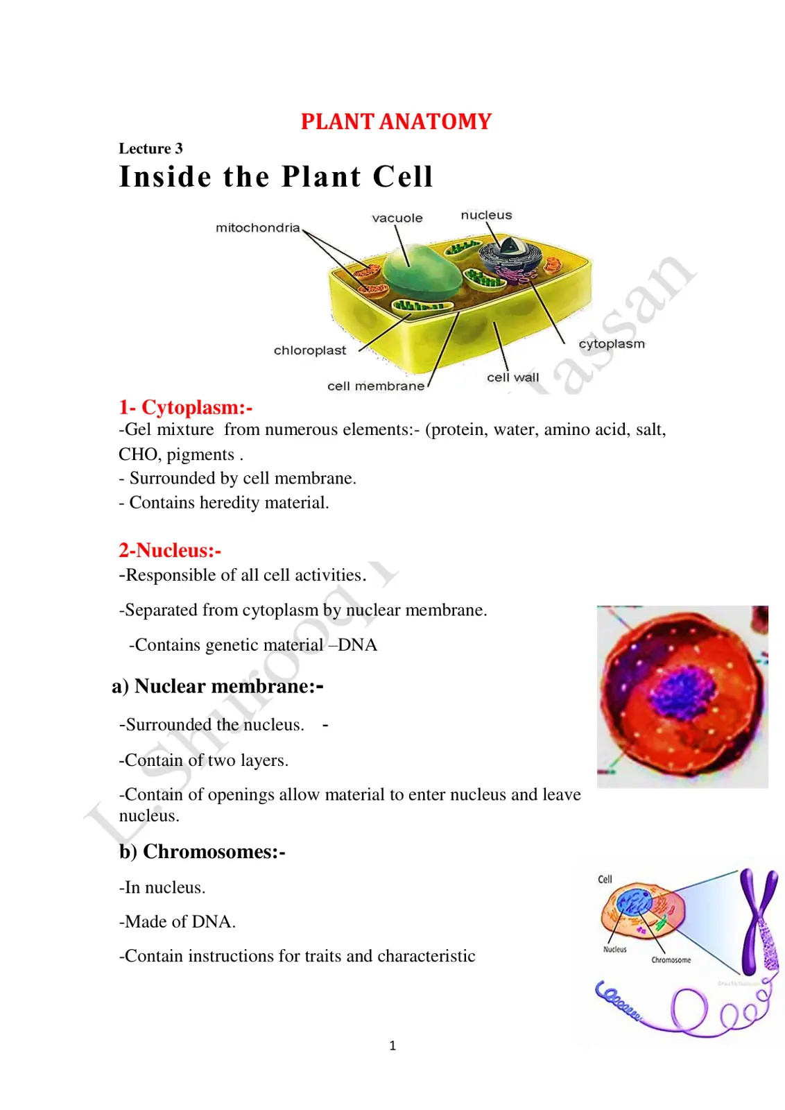 غلاف تقرير Plant Anatomy - Inside the Plant Cell