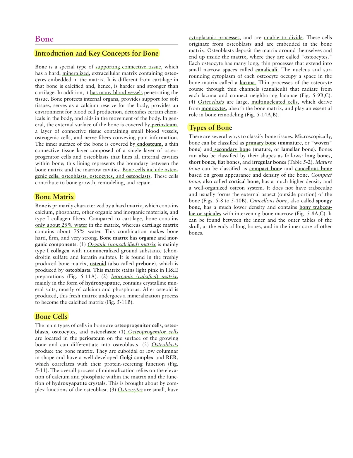 غلاف تقرير Bone Introduction and Key Concepts for Bone