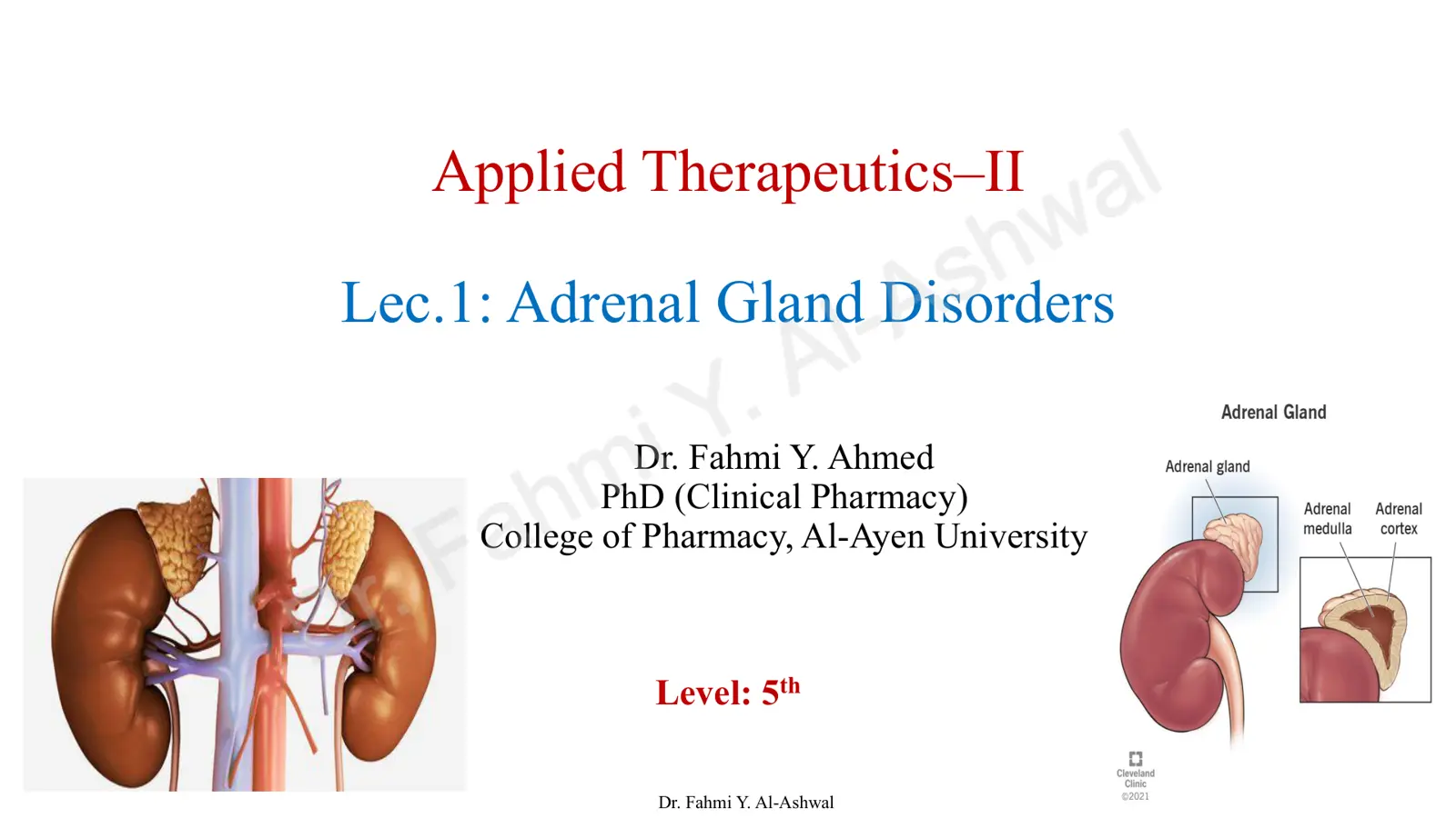 غلاف تقرير Applied Therapeutics - Lec.1: Adrenal Gland Disorders