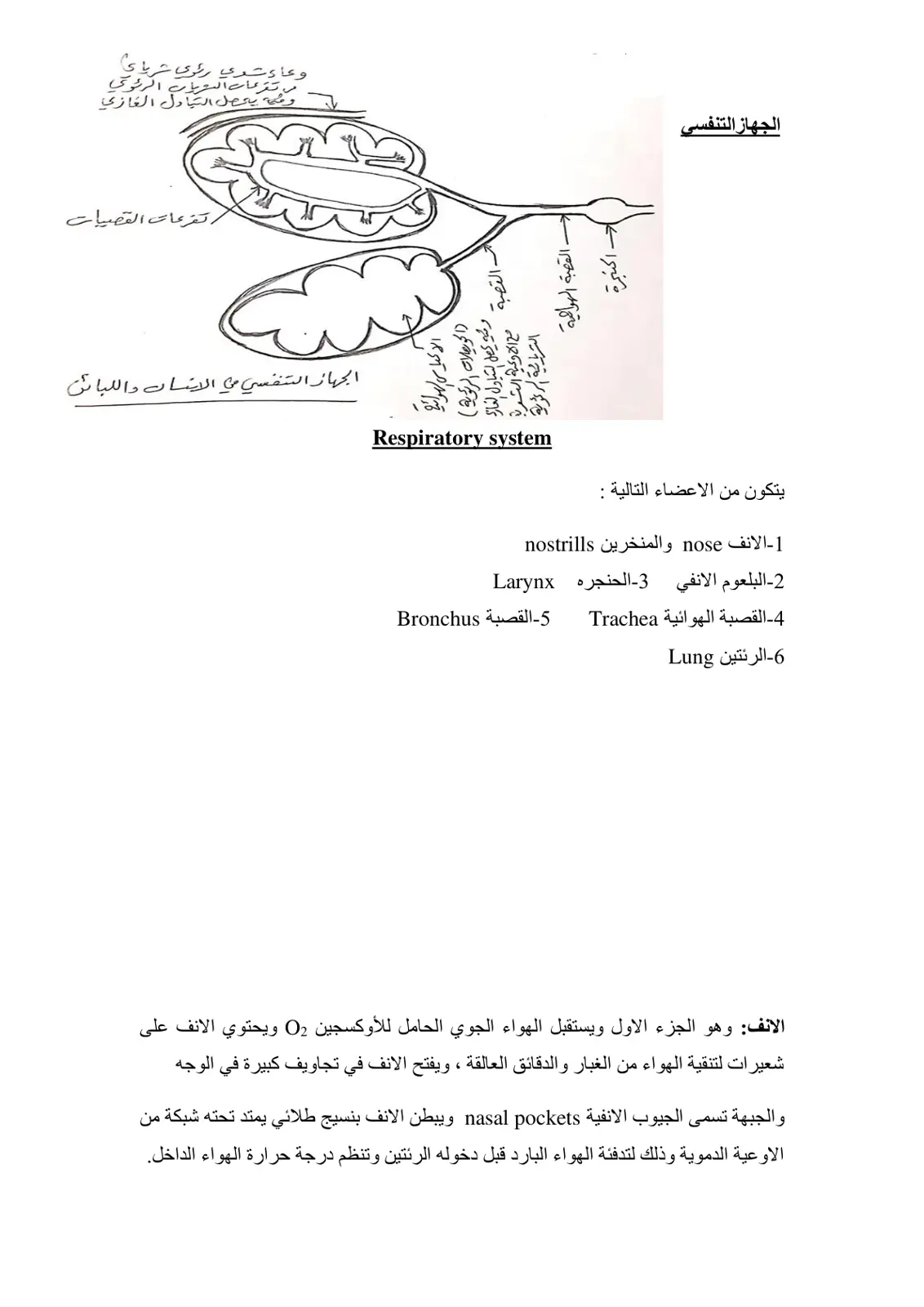 غلاف تقرير الجهاز التنفسي