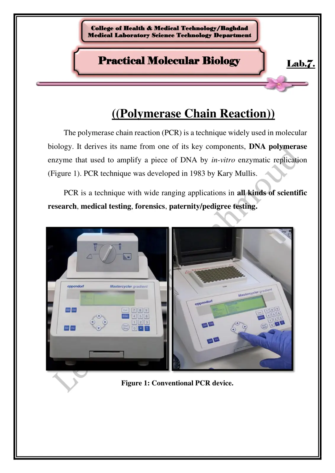 غلاف تقرير Practical Molecular Biology - Lab.7. Polymerase Chain Reaction
