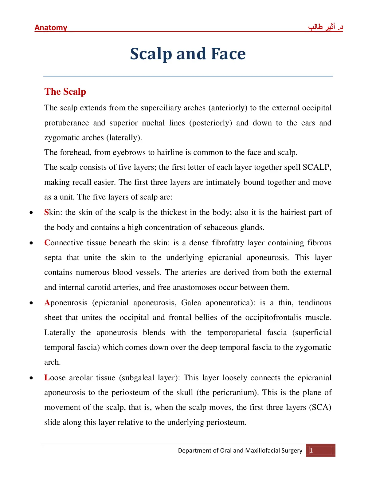 غلاف تقرير Anatomy Scalp and Face