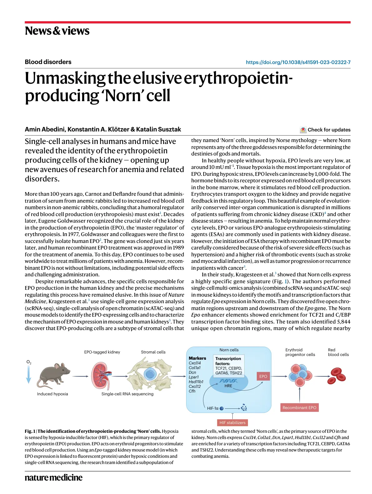 غلاف تقرير Unmasking the elusive erythropoietin-producing 'Norn' cell