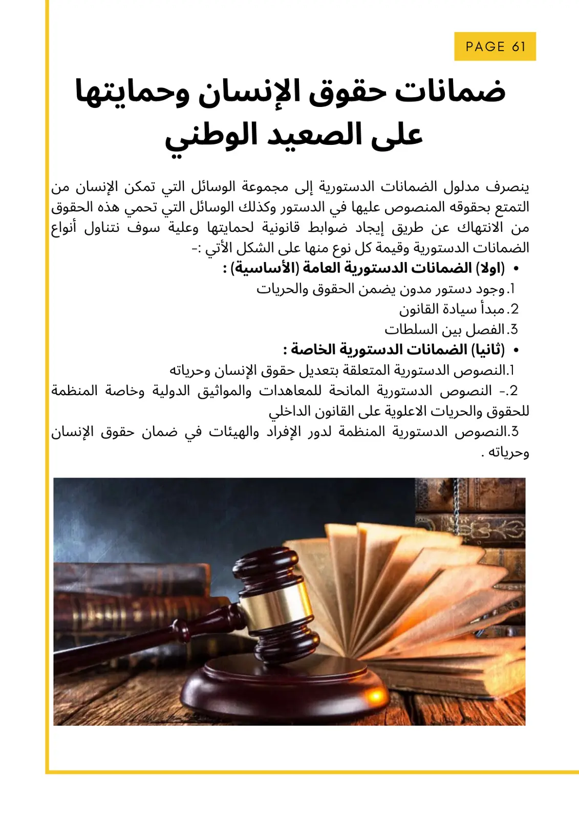 غلاف تقرير ضمانات حقوق الإنسان وحمايتها على الصعيد الوطني