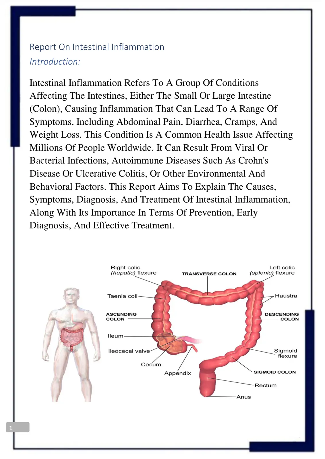 غلاف تقرير Report On Intestinal Inflammation