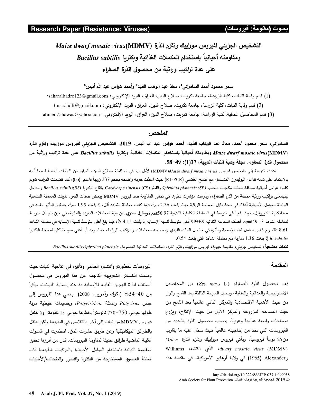 غلاف تقرير التشخيص الجزيئي لفيروس موزاييك وتقزم الذرة (Maize dwarf mosaic virus (MDMV)) ومقاومته أحيائياً باستخدام المكملات الغذائية وبكتريا Bacillus subtilis على عدة تراكيب وراثية من محصول الذرة الصفراء