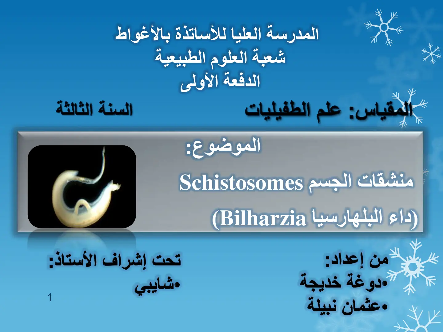 غلاف تقرير منشقات الجسم Schistosomes داء البلهارسيا Bilharzia)