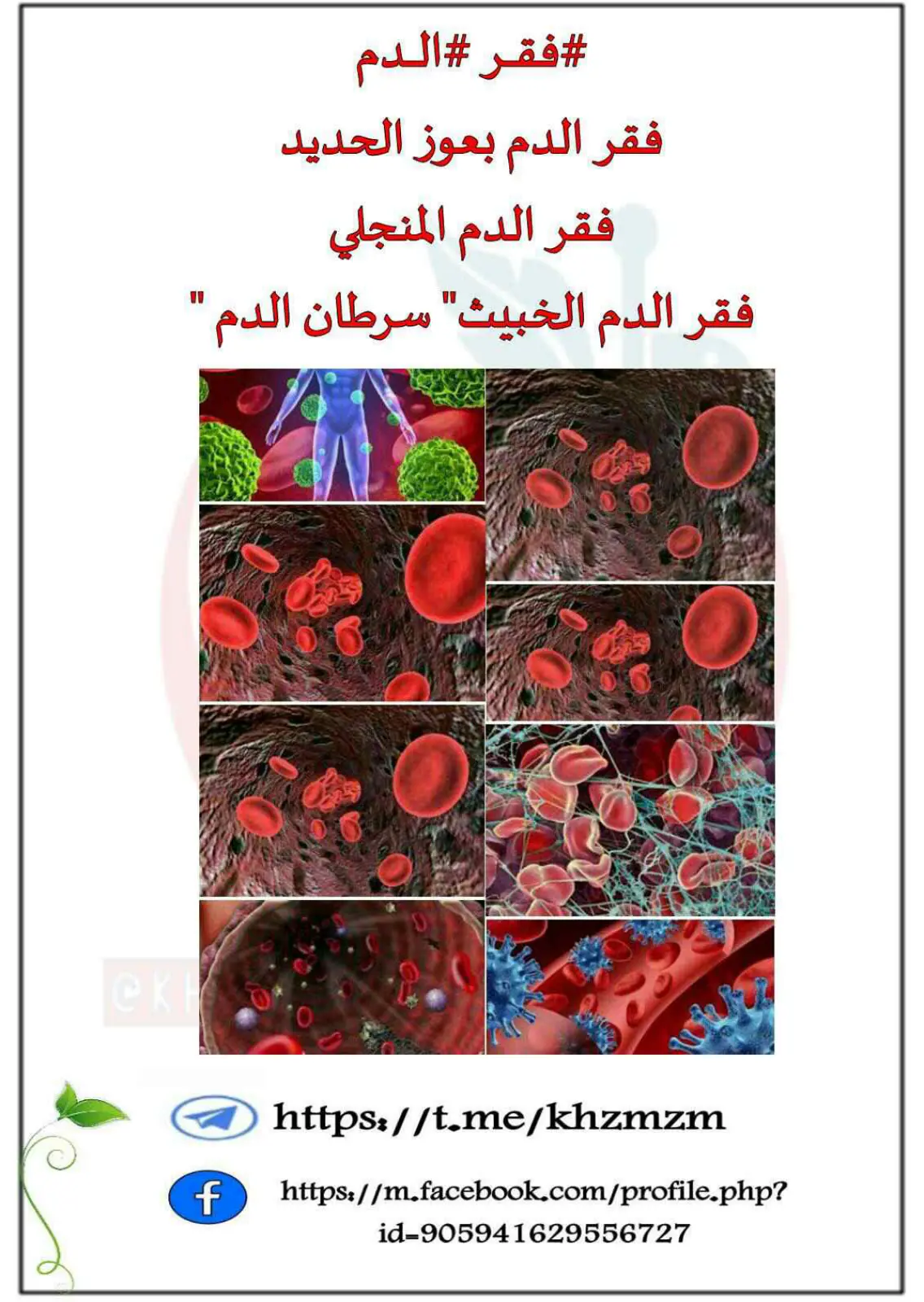 غلاف تقرير فقر الدم